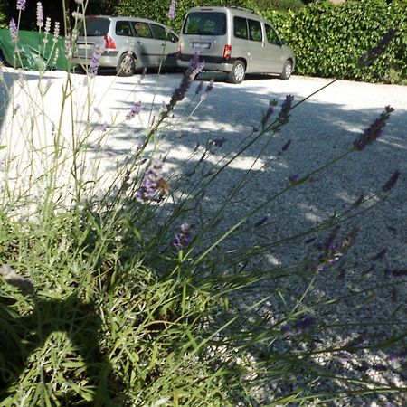 Hotel Verdesolemare Marina di Pietrasanta Dış mekan fotoğraf
