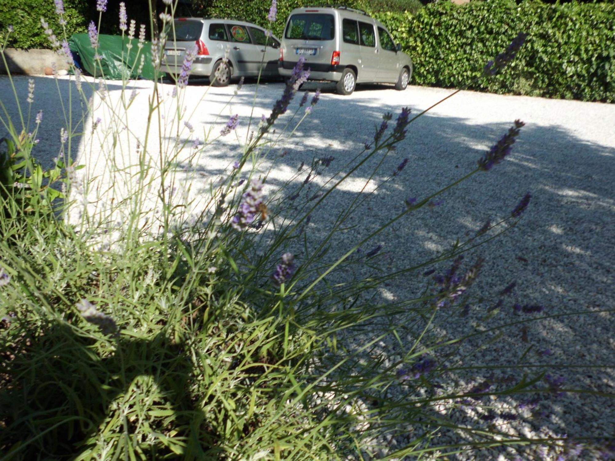 Hotel Verdesolemare Marina di Pietrasanta Dış mekan fotoğraf